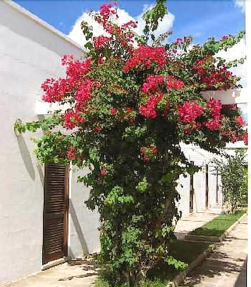 Hotel Solara Otranto Eksteriør billede