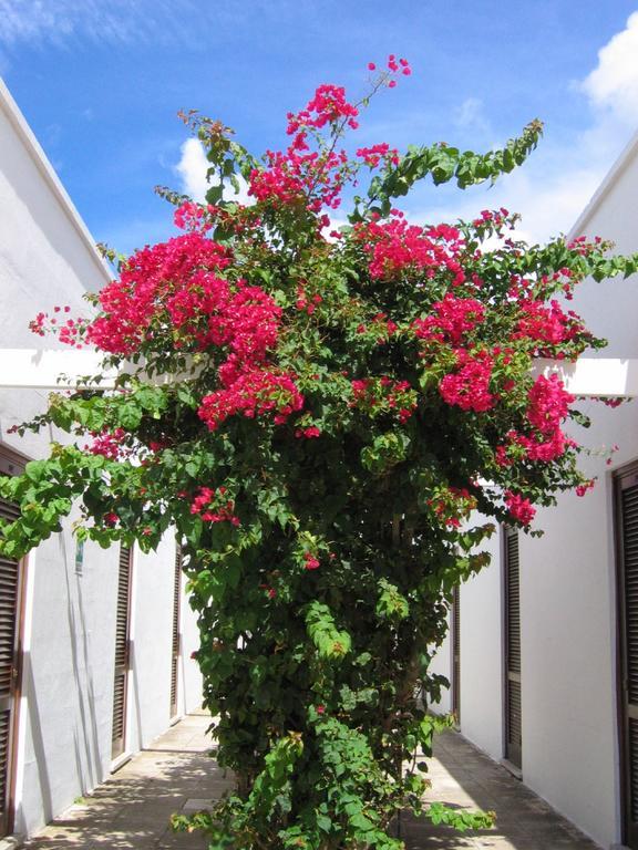 Hotel Solara Otranto Eksteriør billede